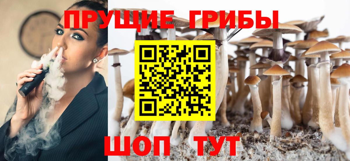 Псилоцибиновые грибы MAGIC MUSHROOMS  Псилоцибиновые грибы GOLDEN TEACHER  как найти   Южноуральск  Вход с VPN 